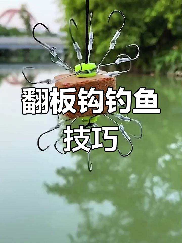 板鱼技巧(板鱼怎么游)