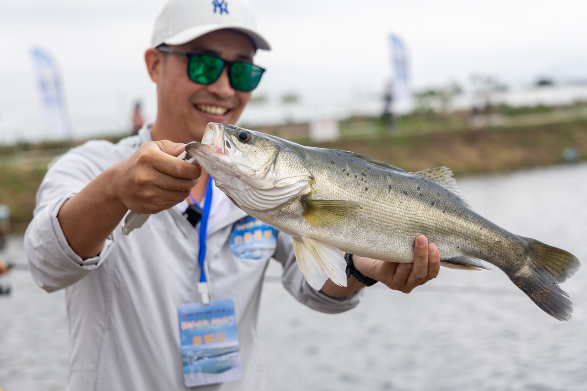 珠海钓鱼钓(珠海钓鱼吧 百度贴吧)