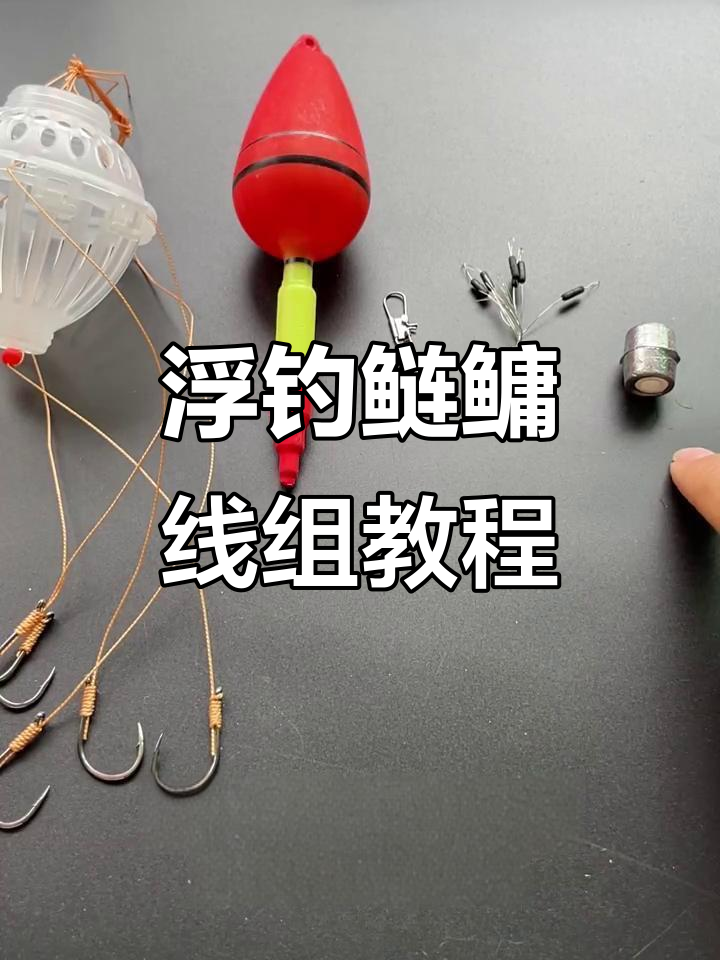 掉鳙鱼的技巧(掉鳙鱼的技巧图解)