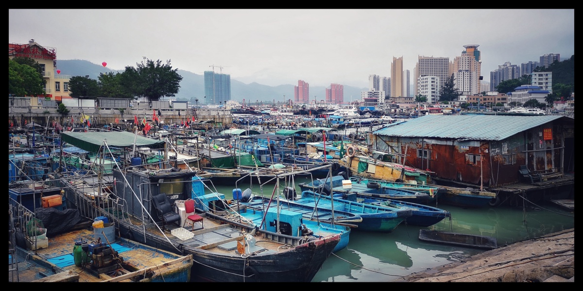 惠州澳头渔具店(惠州澳头渔具店地址)