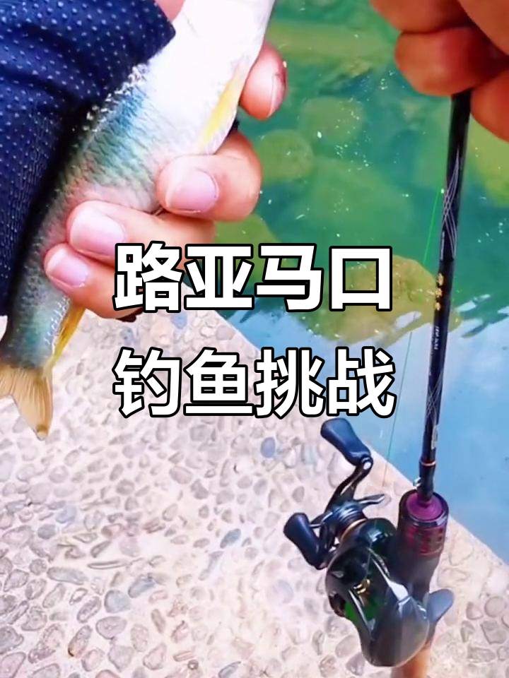 路亚钓马口讲解视频(路亚钓马口是什么意思)