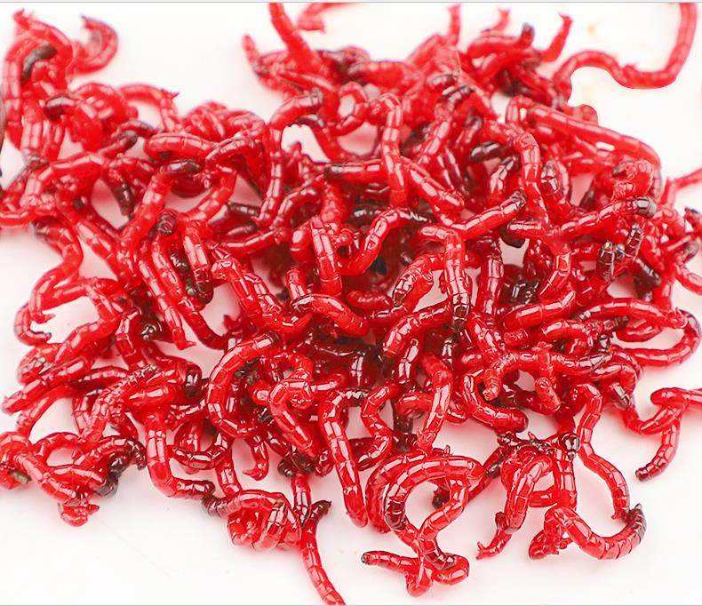 钓鱼饵料红虫(钓鱼饵料红虫好用吗)