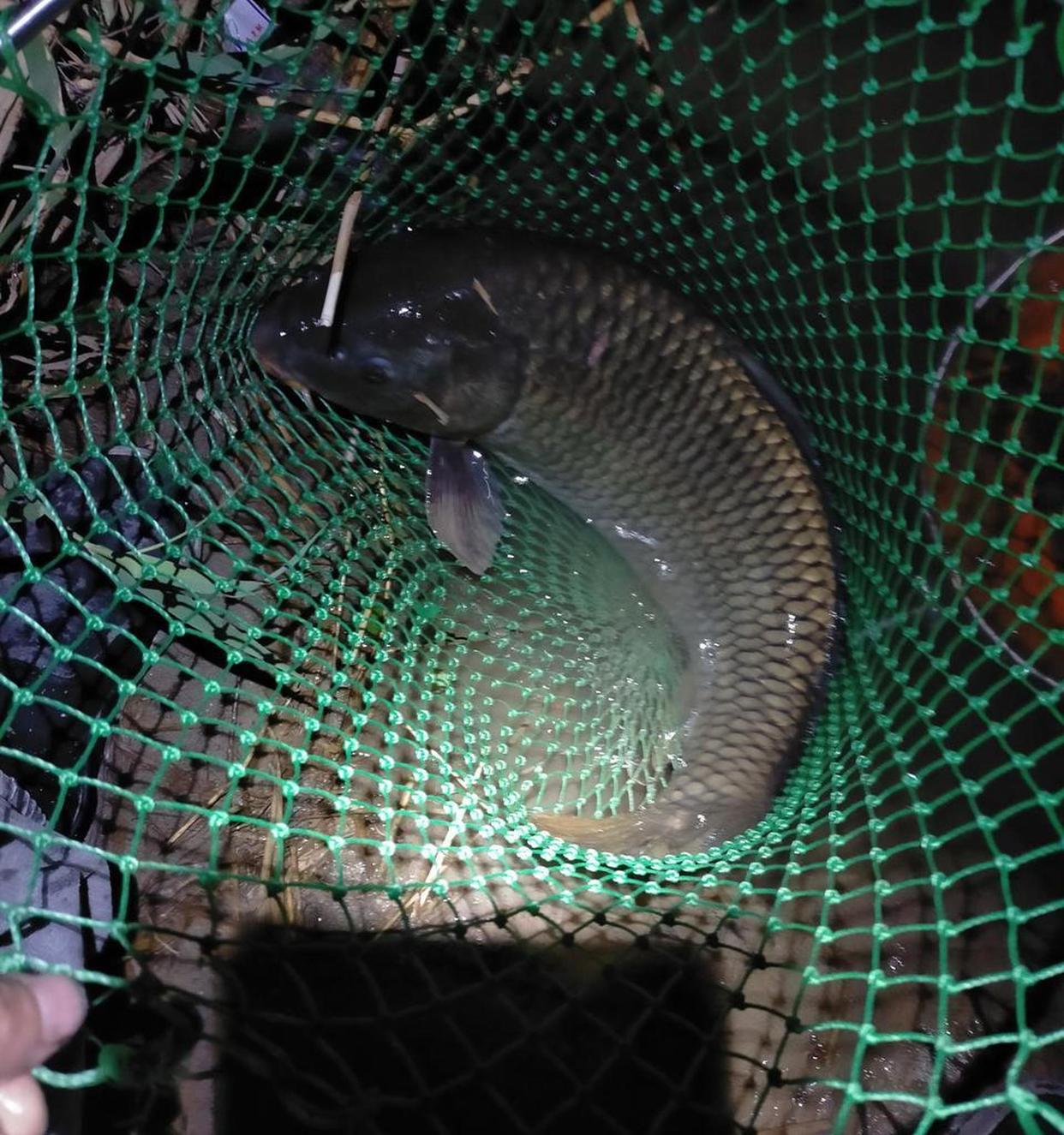 水库夜钓选技巧视频(水库夜钓选什么位置好)