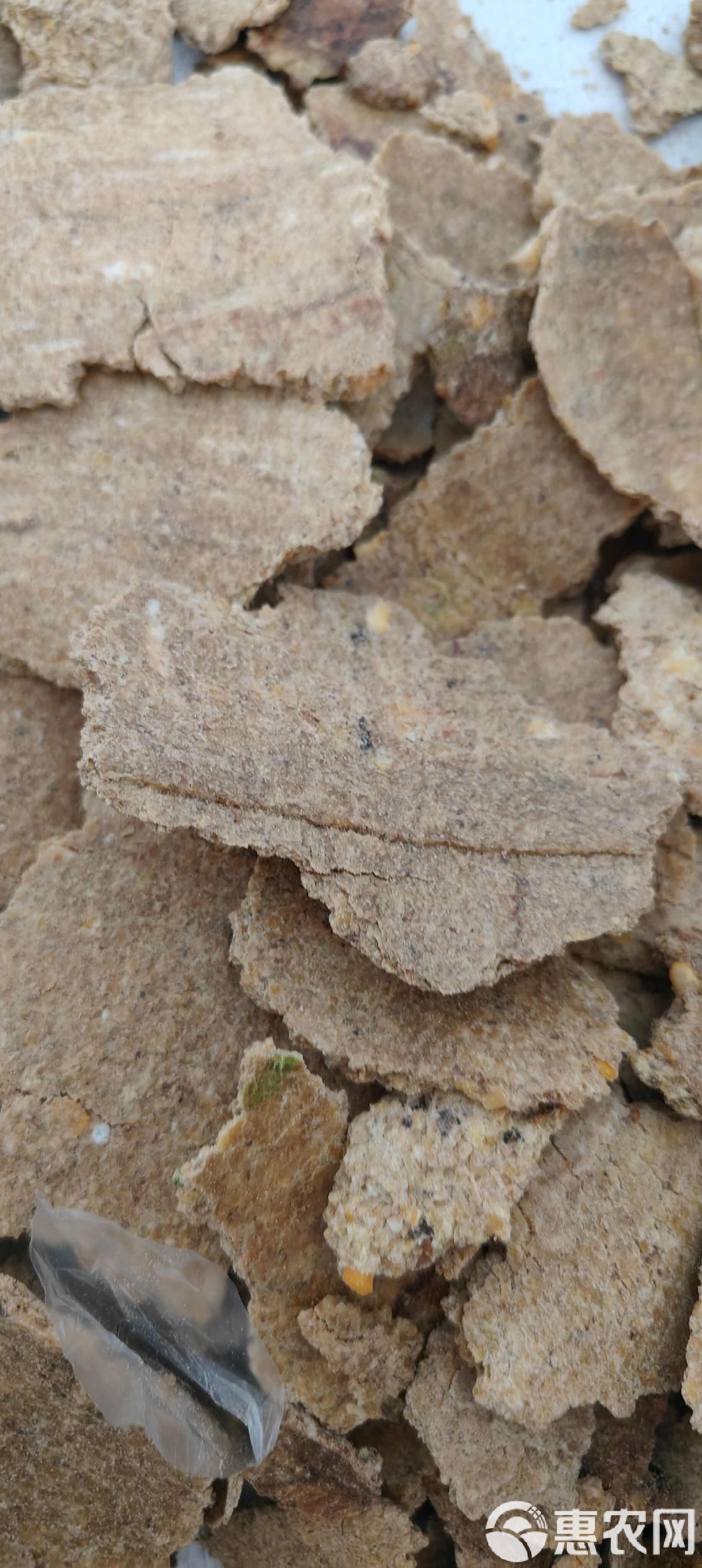 豆饼饵料(豆饼打窝钓鲫鱼怎么样)