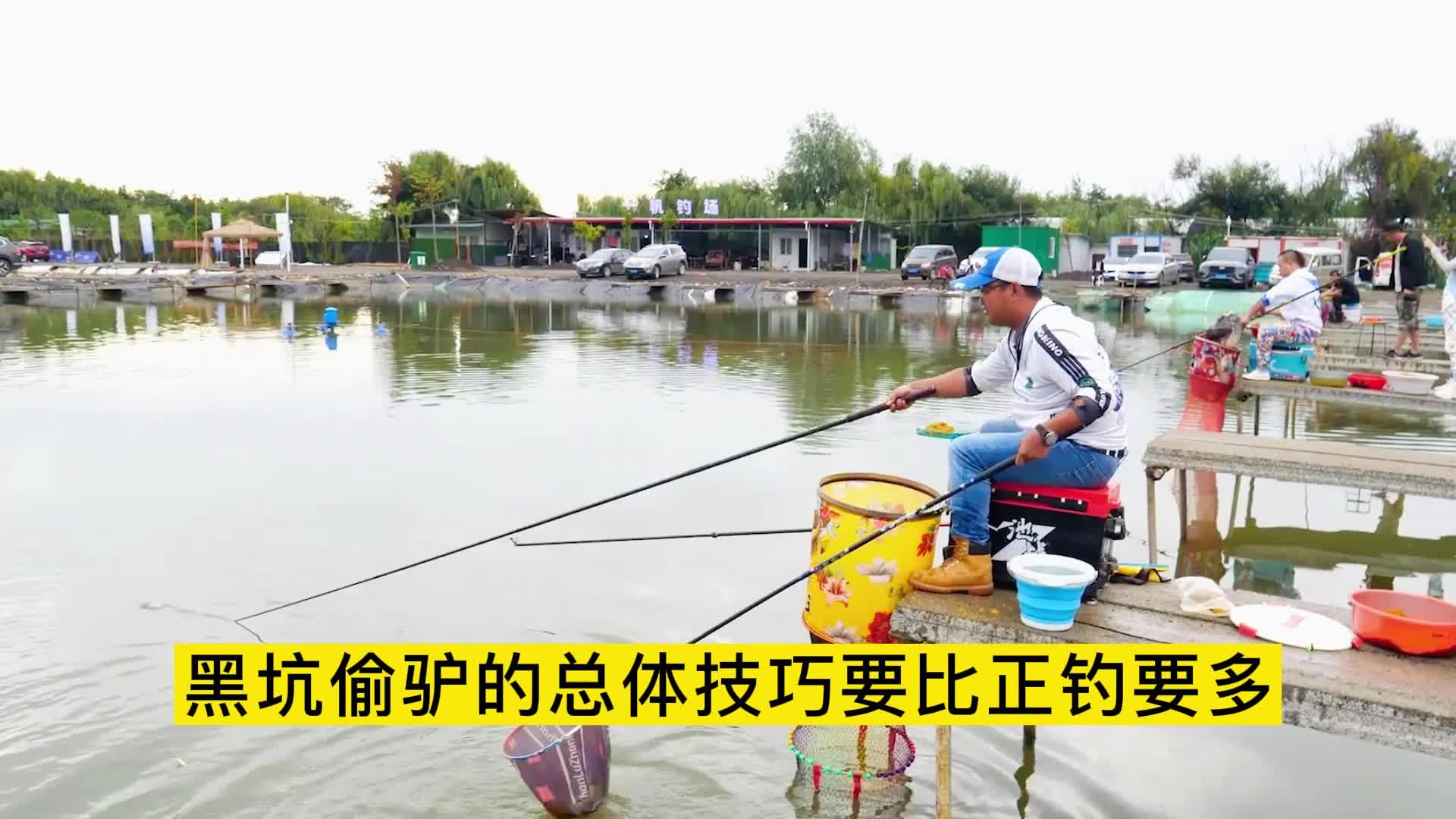 黑坑风偷驴技巧(黑坑钓鱼偷驴是什么意思)