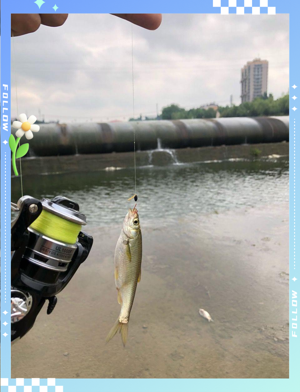 开春水库钓白条技巧(开春水库钓鱼多深的水)