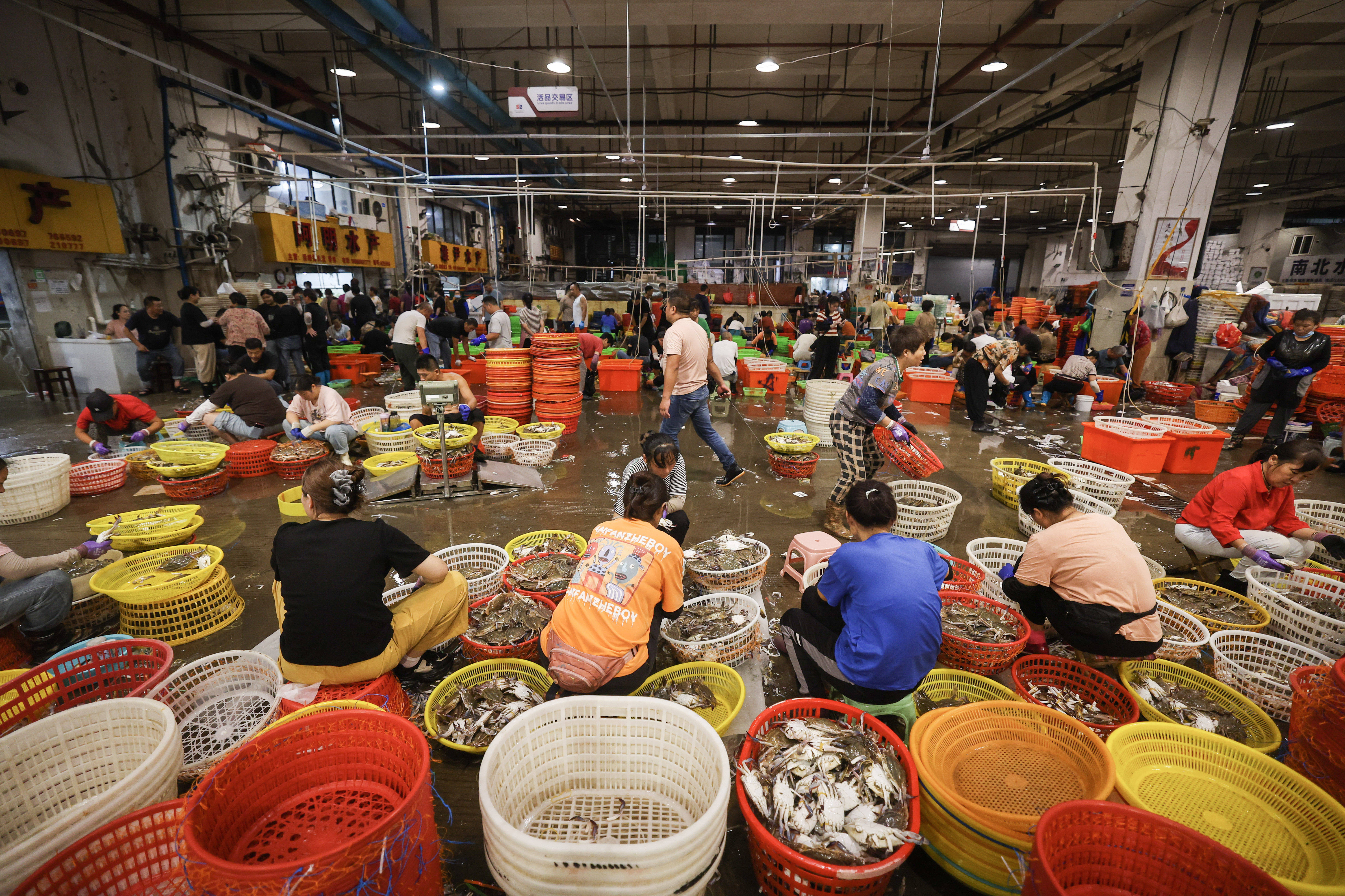 杭州市渔具市场(杭州市渔具市场地址)