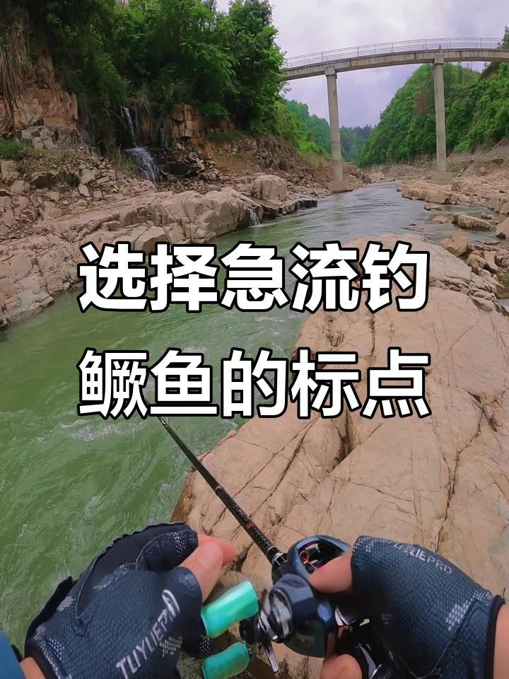 长江急流路亚技巧(长江急流路亚技巧用什么饵)
