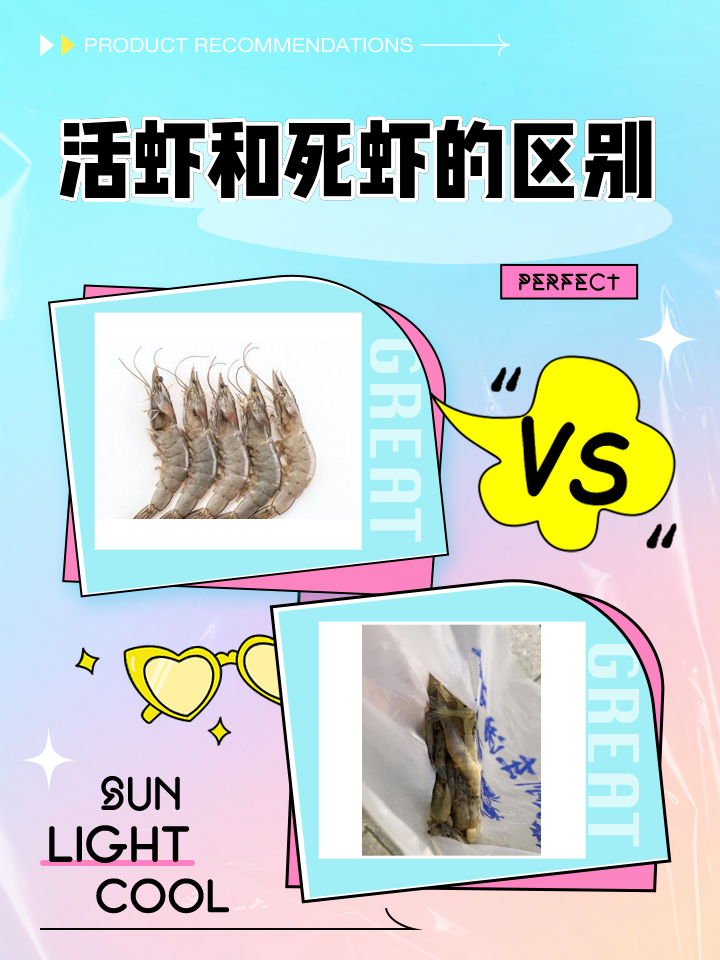 死虾钓鱼技巧(死虾海钓能钓到鱼?)