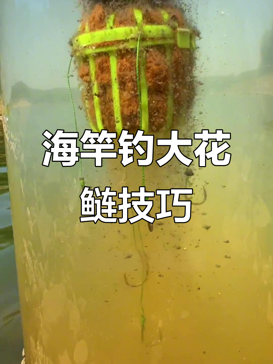 水库海杆浮钓花莲技巧(水库海杆浮钓花莲技巧和方法)