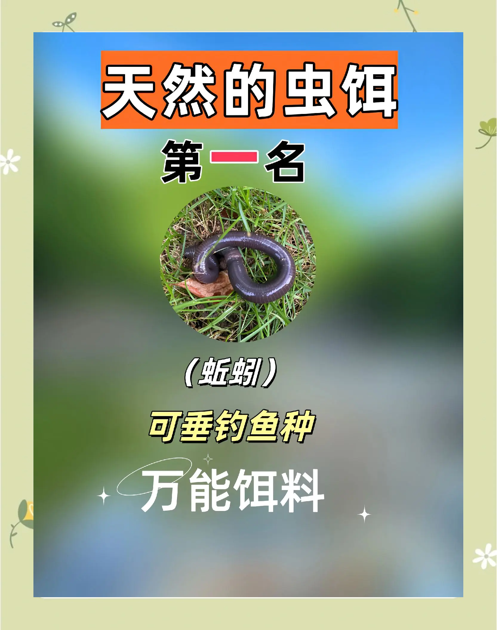 什么饵料钓河鱼(什么饵料钓河鱼最好)