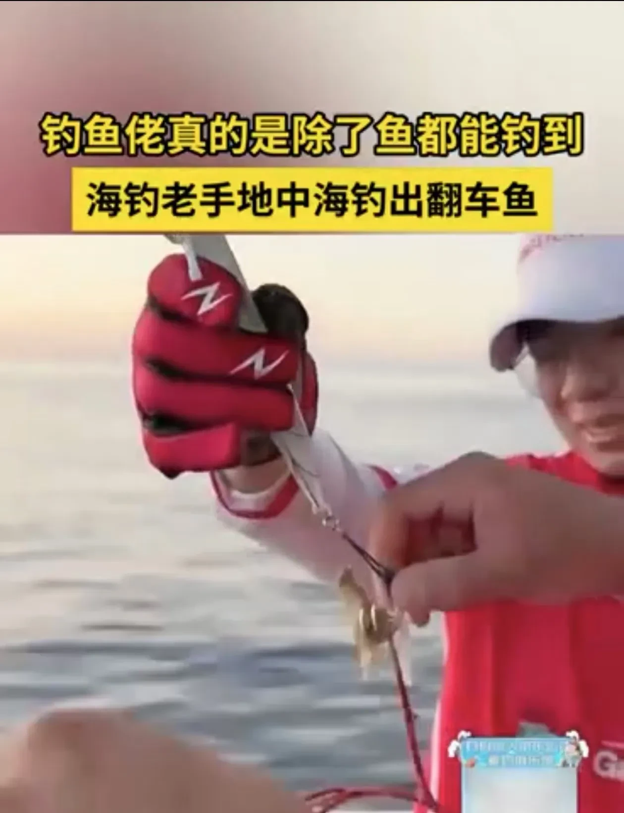 国产鱼竿出海钓鱼(国产鱼竿出海钓鱼视频)