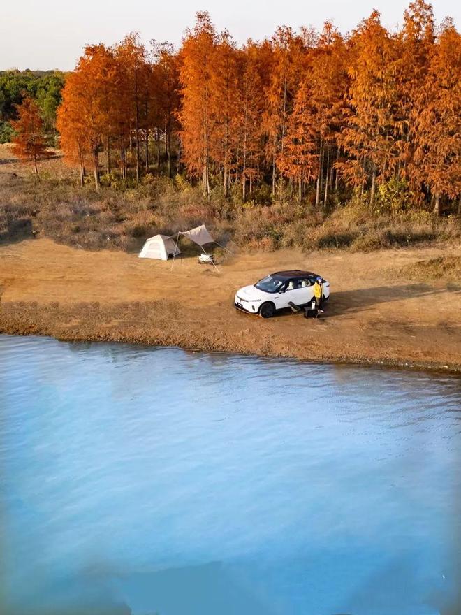 秋季降温黑坑技巧(秋季天冷黑坑鲫鱼怎么钓)