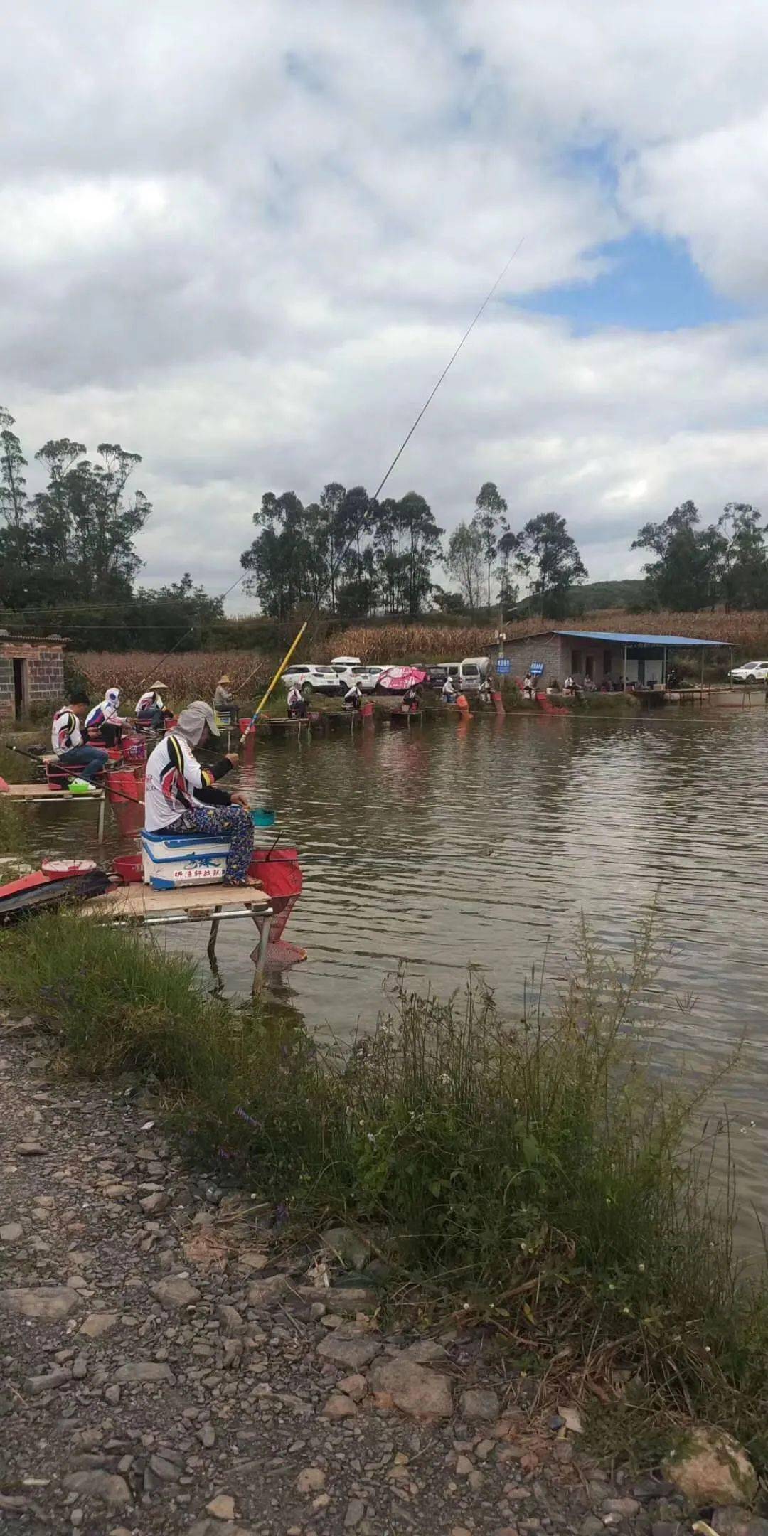 秋季降温黑坑技巧(秋季天冷黑坑鲫鱼怎么钓)