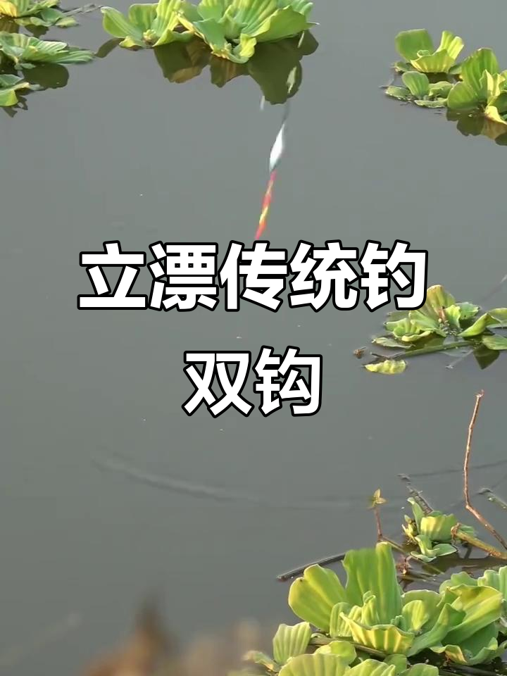 板钓技巧视频(板钓的安装方法)