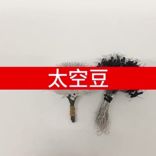 路亚可以过太空豆吗(路亚竿导环能过太空豆吗)