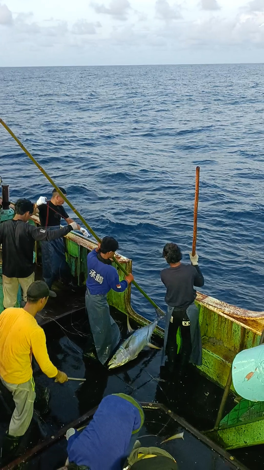 金目海钓场(金目钓鱼场怎么收费)