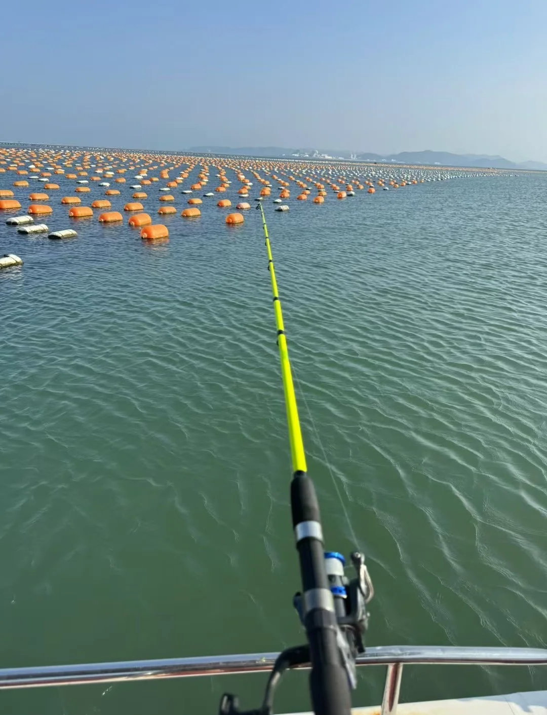 斜阳岛海钓季节的简单介绍