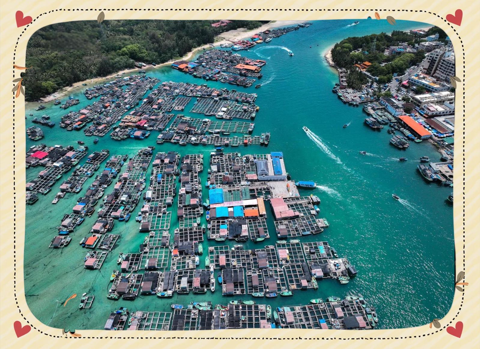 北戴河海钓鱼排(钓海鱼用什么鱼饵)