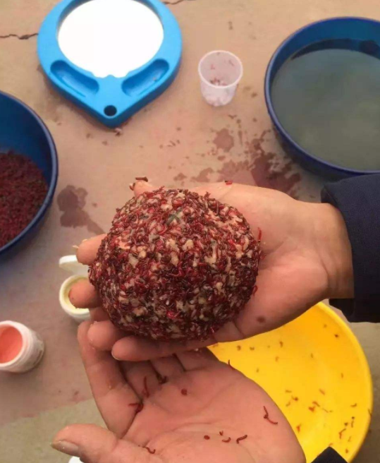 深水肉夹馍饵料(深水肉夹馍饵料怎么做)