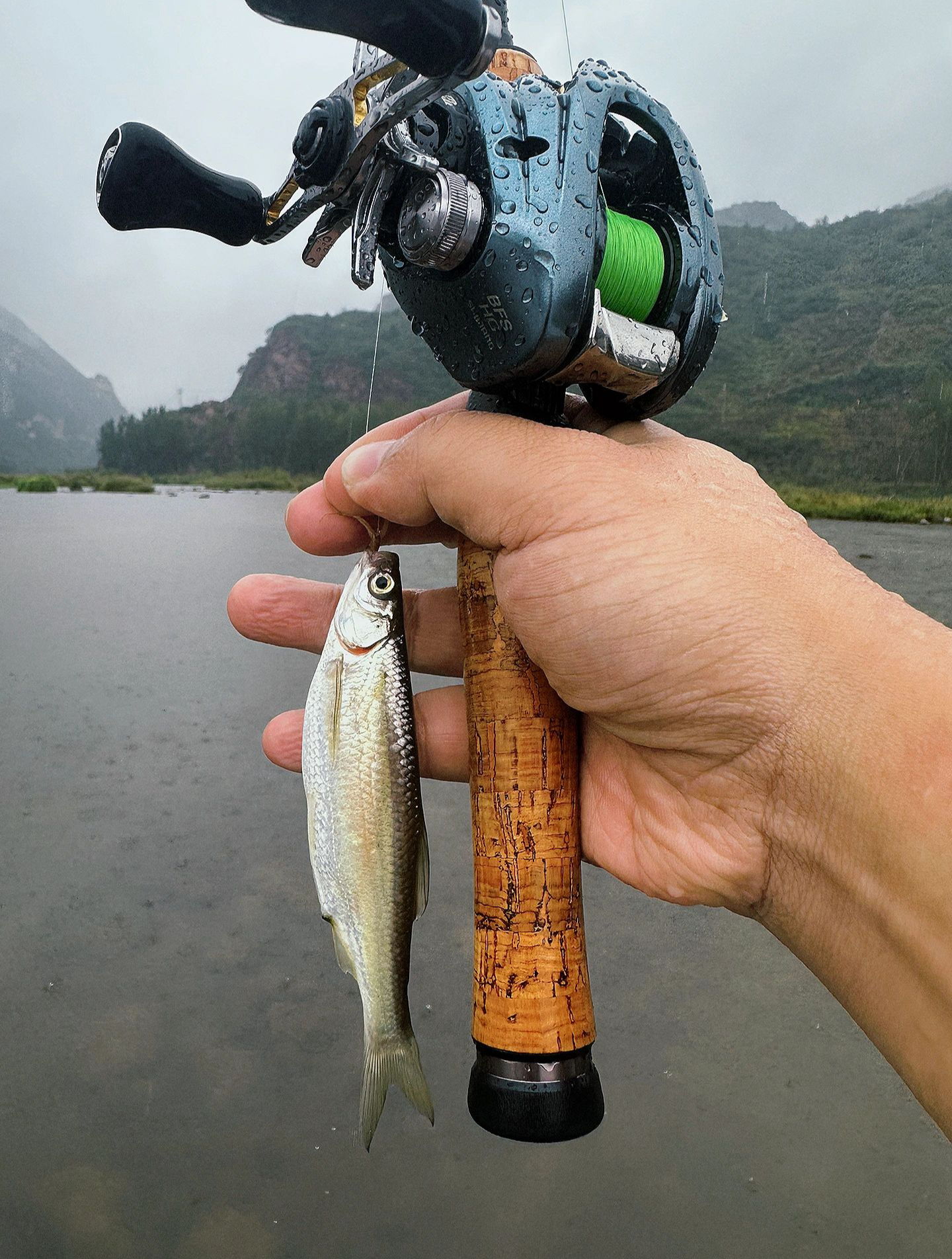 制作马口饵料(自制马口饵料配方)