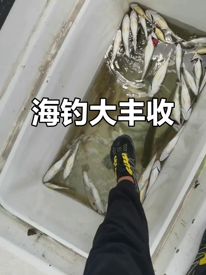 海钓鲈鱼水深(夏季海钓鲈鱼水深度)