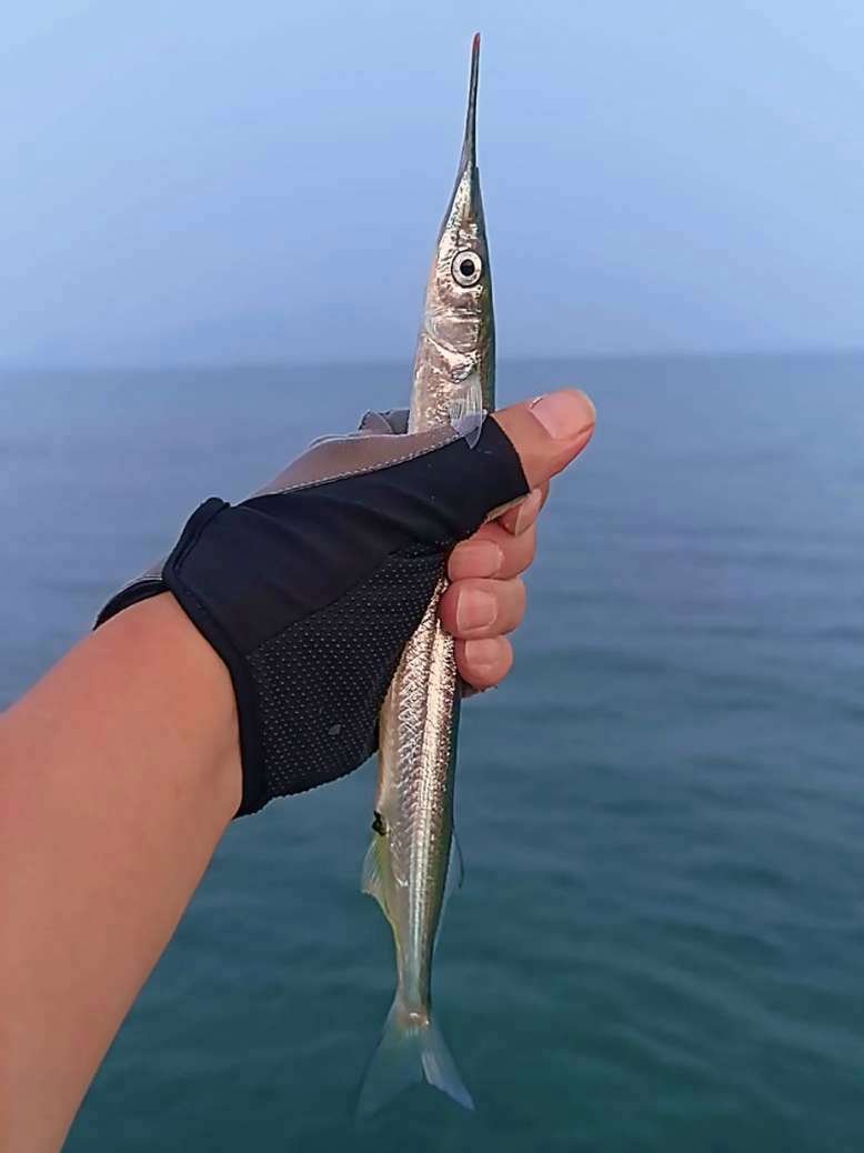 路亚海钓冬天(冬天路亚可以钓到海鱼吗?)