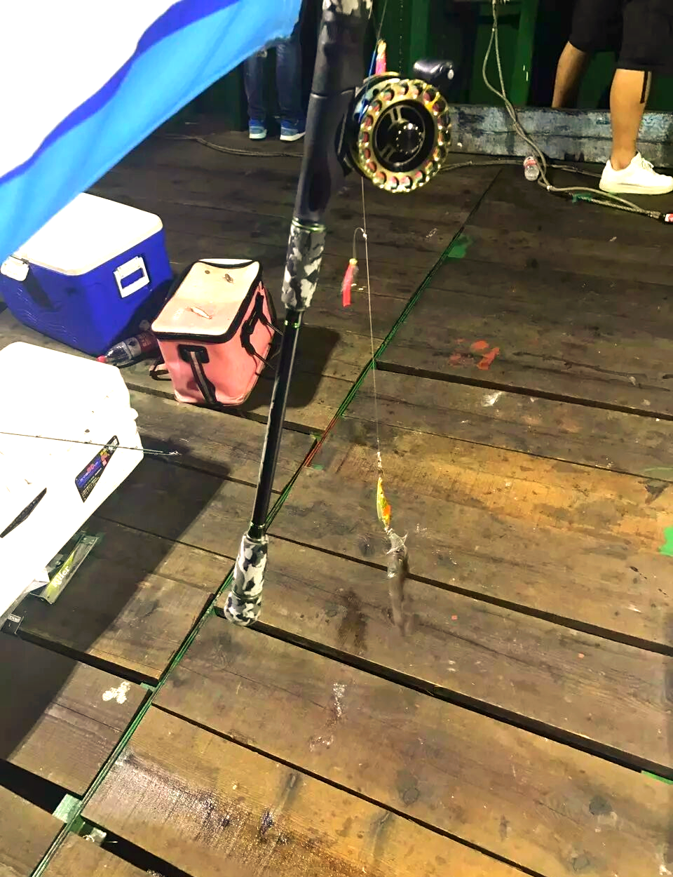 宁波海钓群(宁波海钓鱼种)