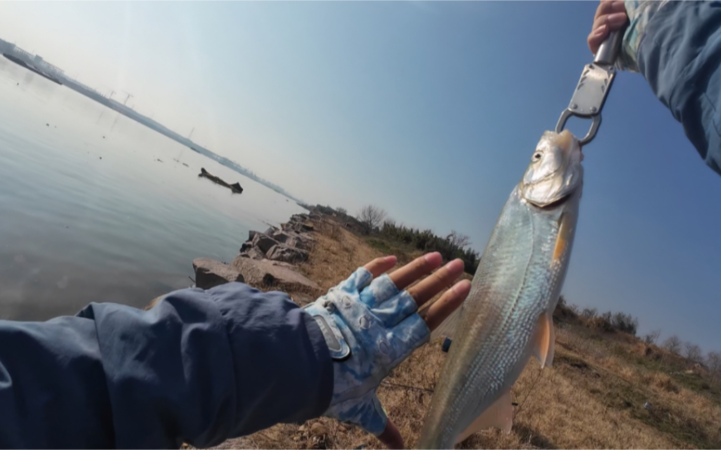 路亚不中鱼(路亚路不到鱼的原因)