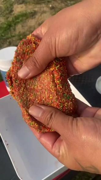 水母饵料制作拉饵(水母拉饵对鱼有什么危害)