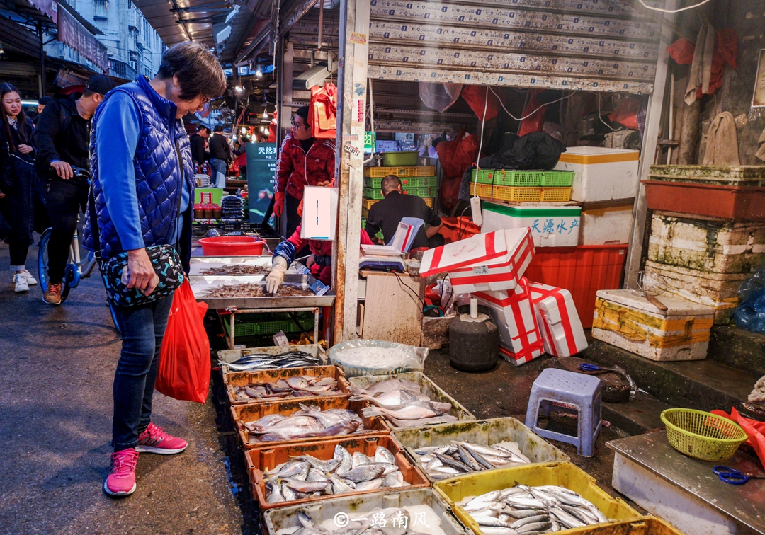 安顺渔具市场(安顺最大的水产批发市场)