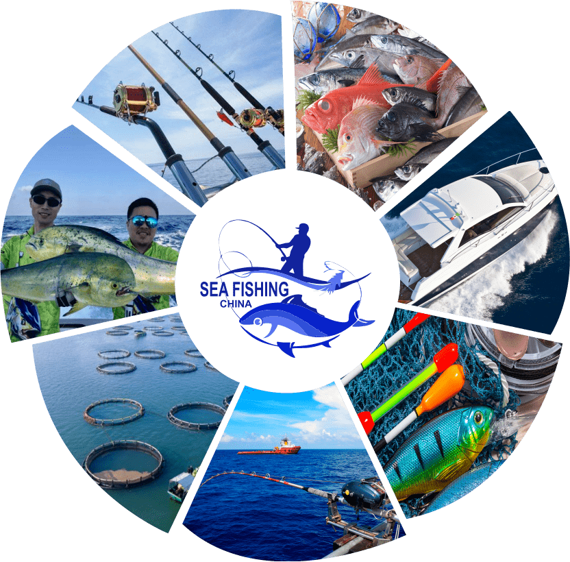 组织海钓怎么收费(海钓俱乐部需要什么手续)