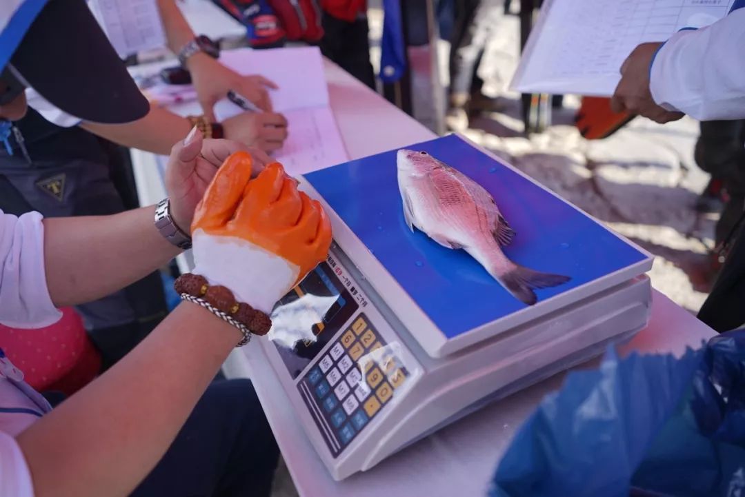 组织海钓怎么收费(海钓俱乐部需要什么手续)