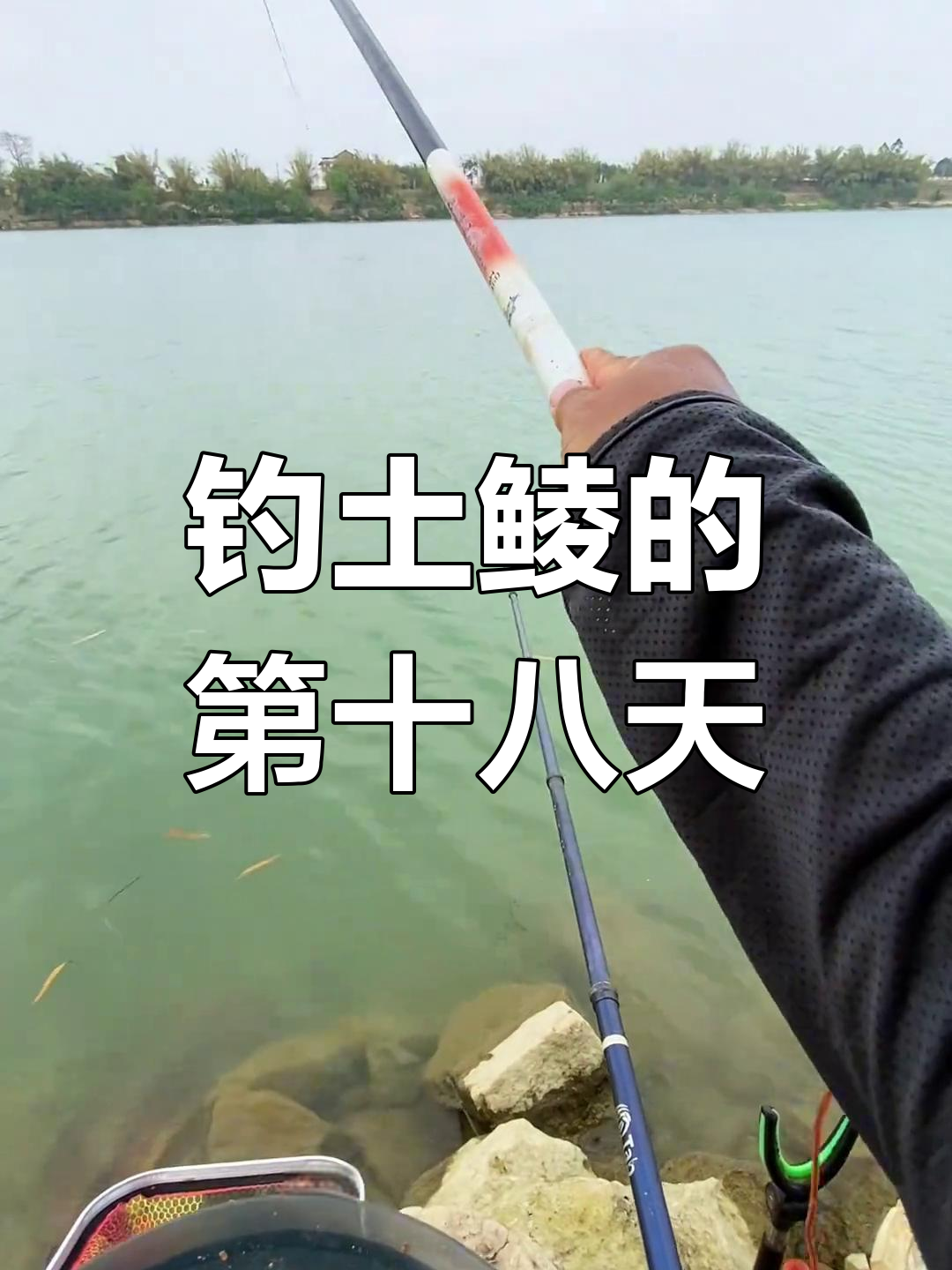 邕江钓鱼都用什么饵料(2020邕江什么河段可以钓鱼)