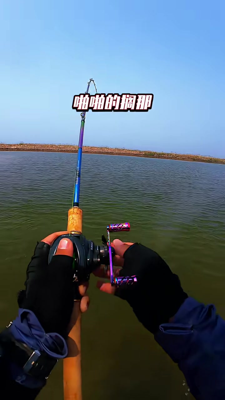 江心洲路亚(江心洲钓鱼钓点)