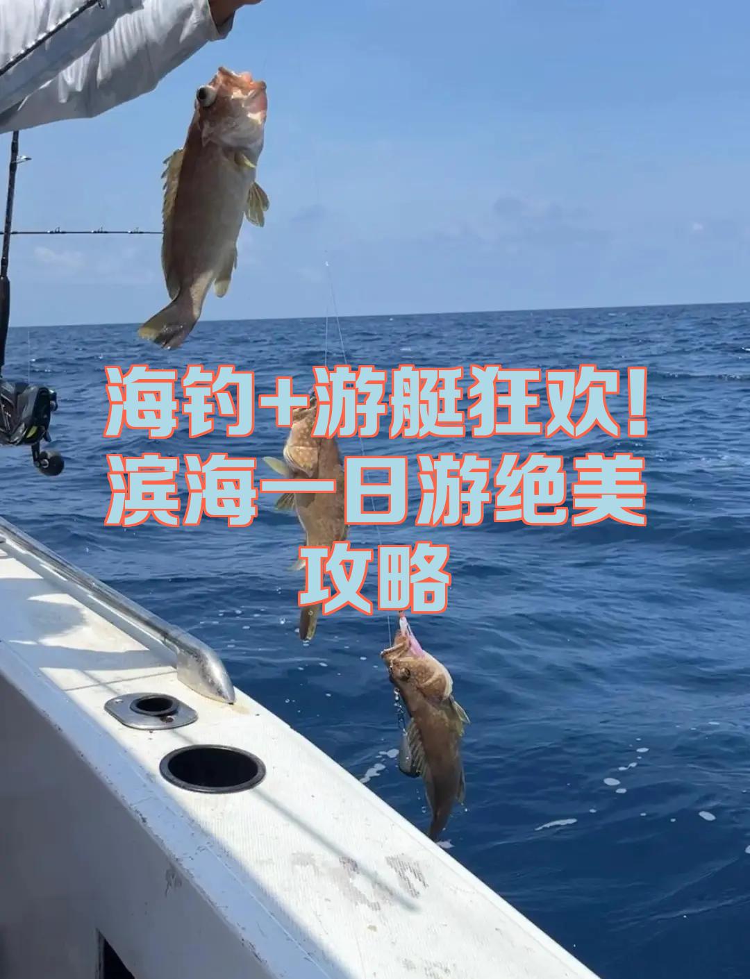 滨海海钓(滨海海钓最佳位置)