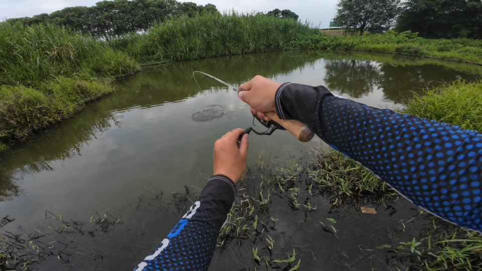 广州城市路亚(广州路亚钓场大全)