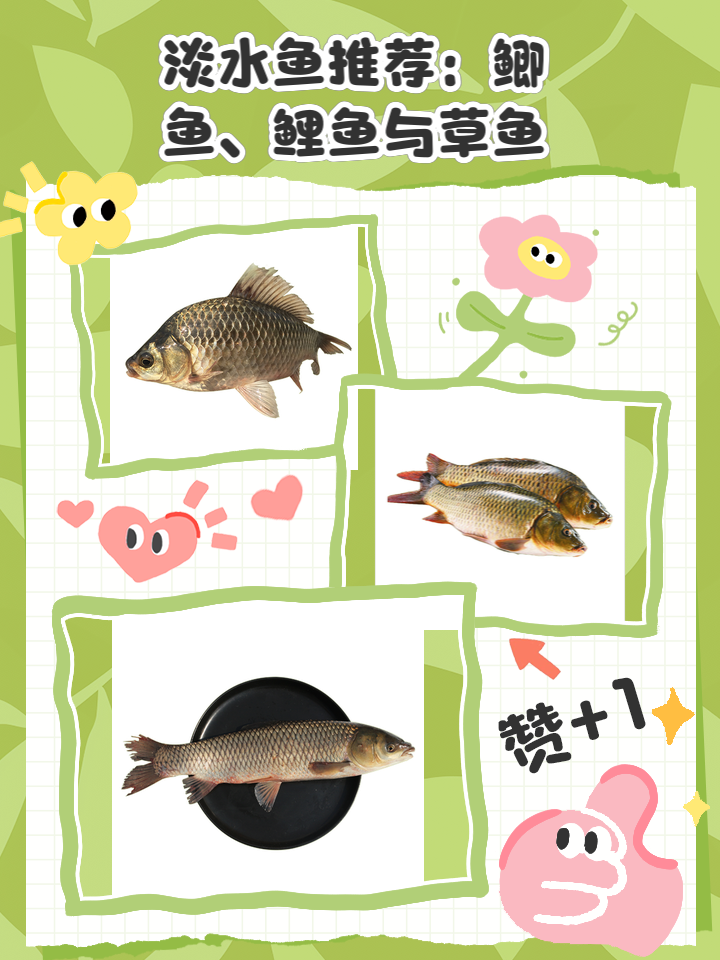 钓鲫鱼鲤鱼草鱼技巧(钓鲤鱼鲫鱼草鱼用什么鱼饵)