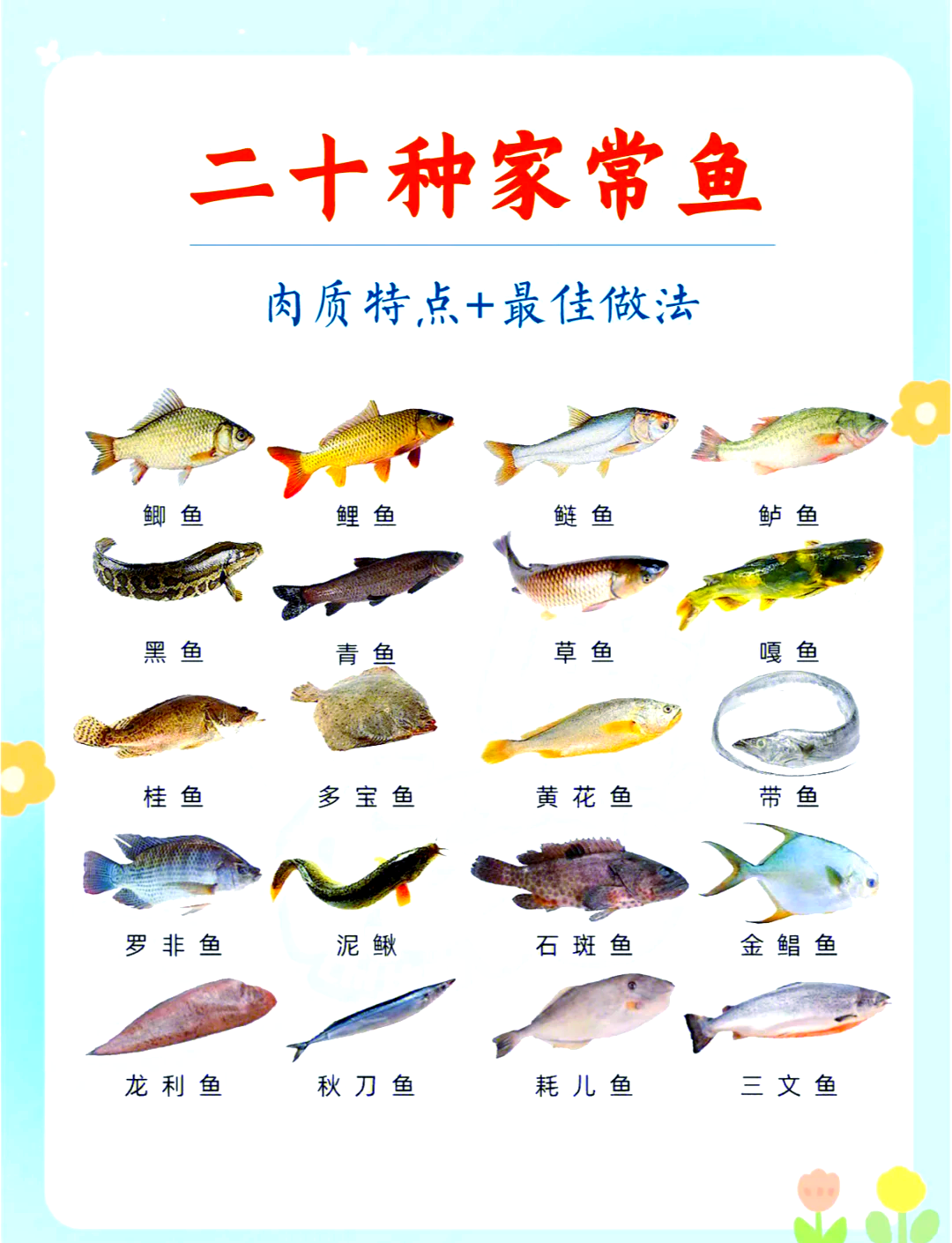 钓鲫鱼鲤鱼草鱼技巧(钓鲤鱼鲫鱼草鱼用什么鱼饵)