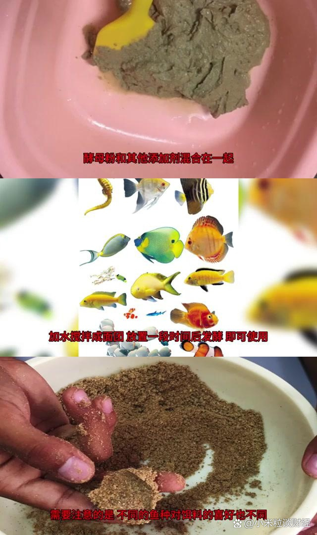 引鱼饵料怎么配(引鱼饵料怎么配比)