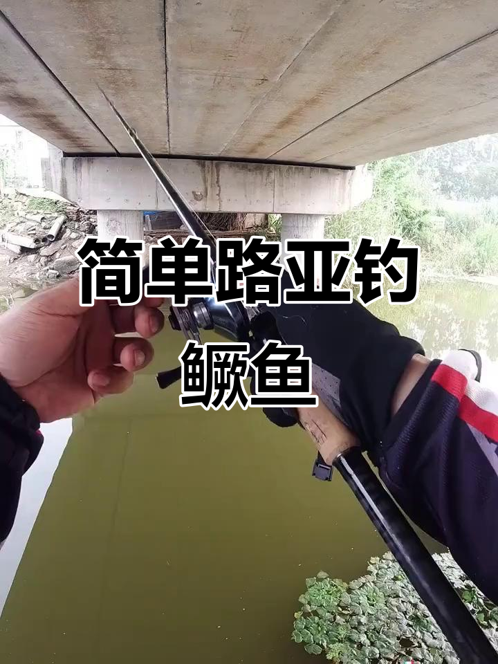 怎么路亚钓鳜鱼(路亚钓鳜鱼最佳时间)