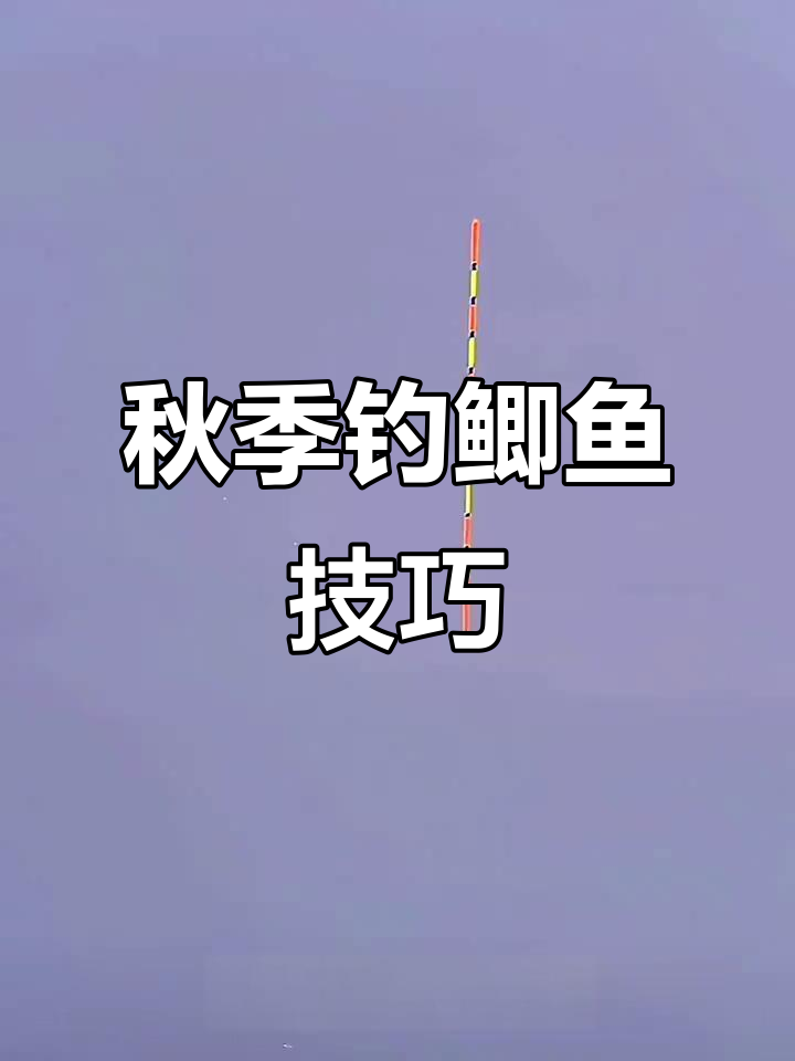 秋季钓鱼技巧避小鱼(秋季钓鱼技巧避小鱼视频)