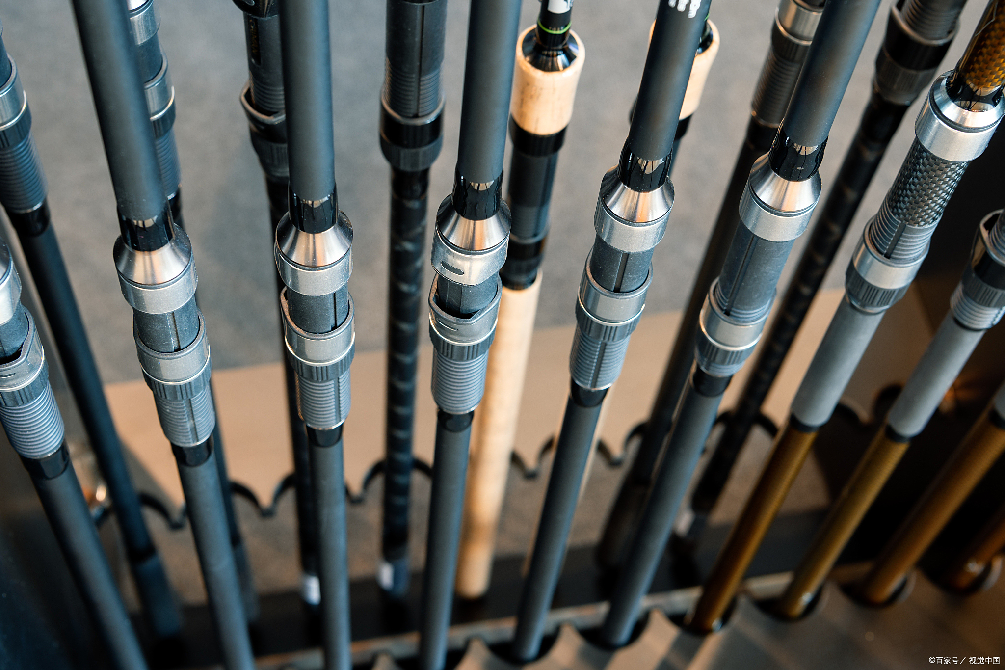 查看所有渔具(查看鱼种类app)