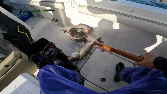 舟山海钓住那(舟山海钓去哪办理相关手续)