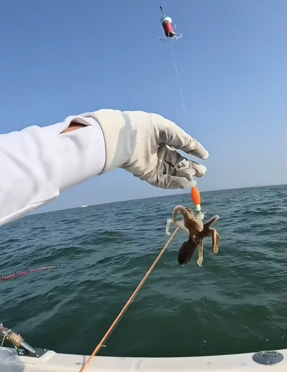 2018塘沽海钓(天津室内钓鱼场一览表)