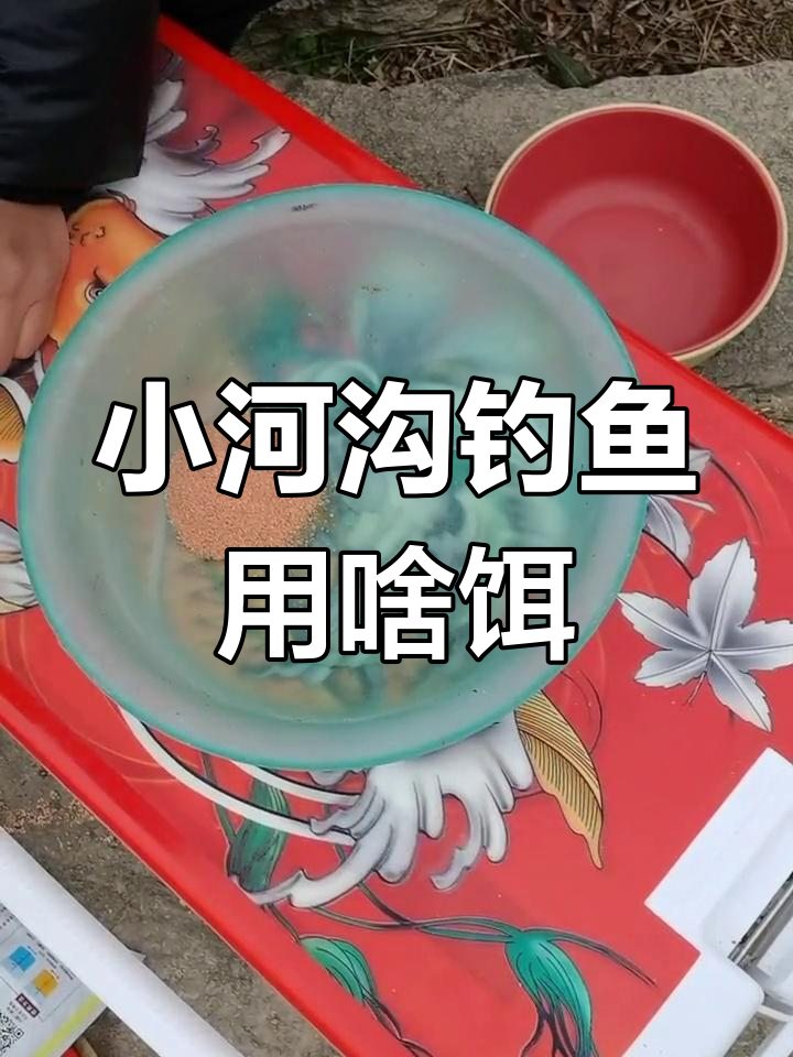 河钩用什么饵料(河钩用什么饵料最好)