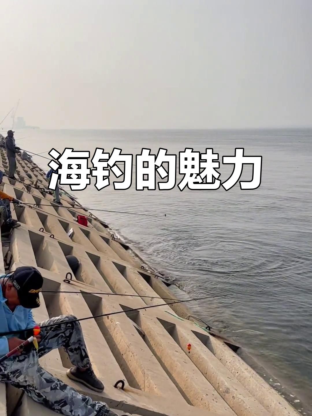 海钓立体钓鱼(海钓立漂钓组图解)