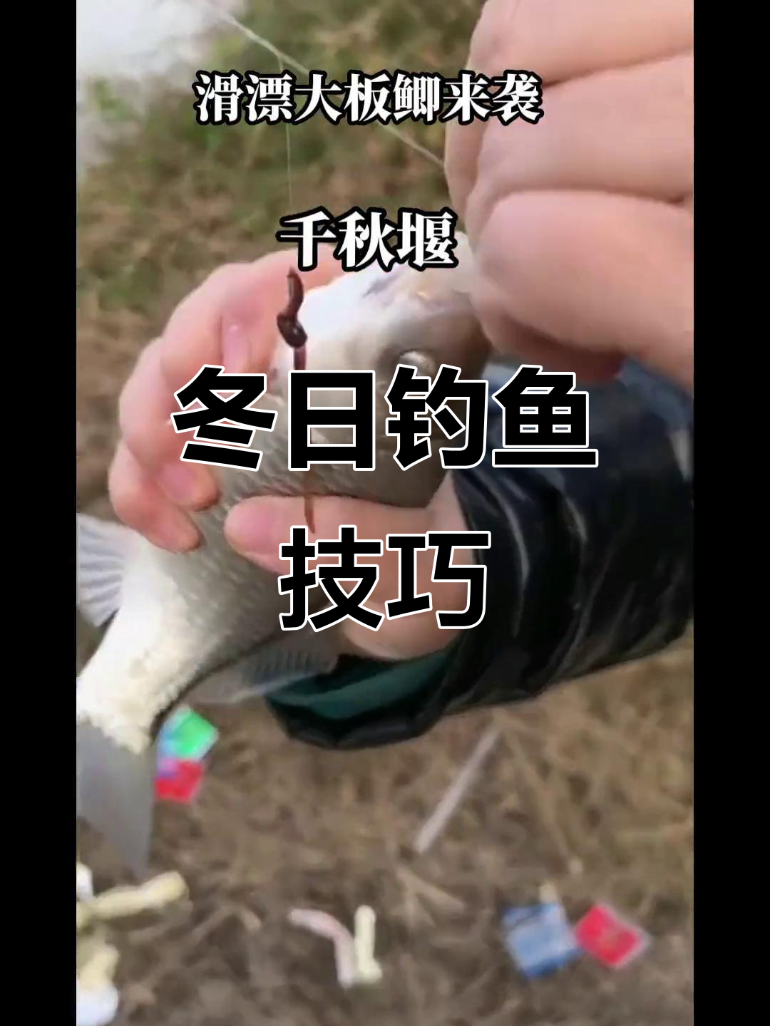 冬天矶竿钓鲫鱼技巧(冬季矶钓竿用什么饵料)