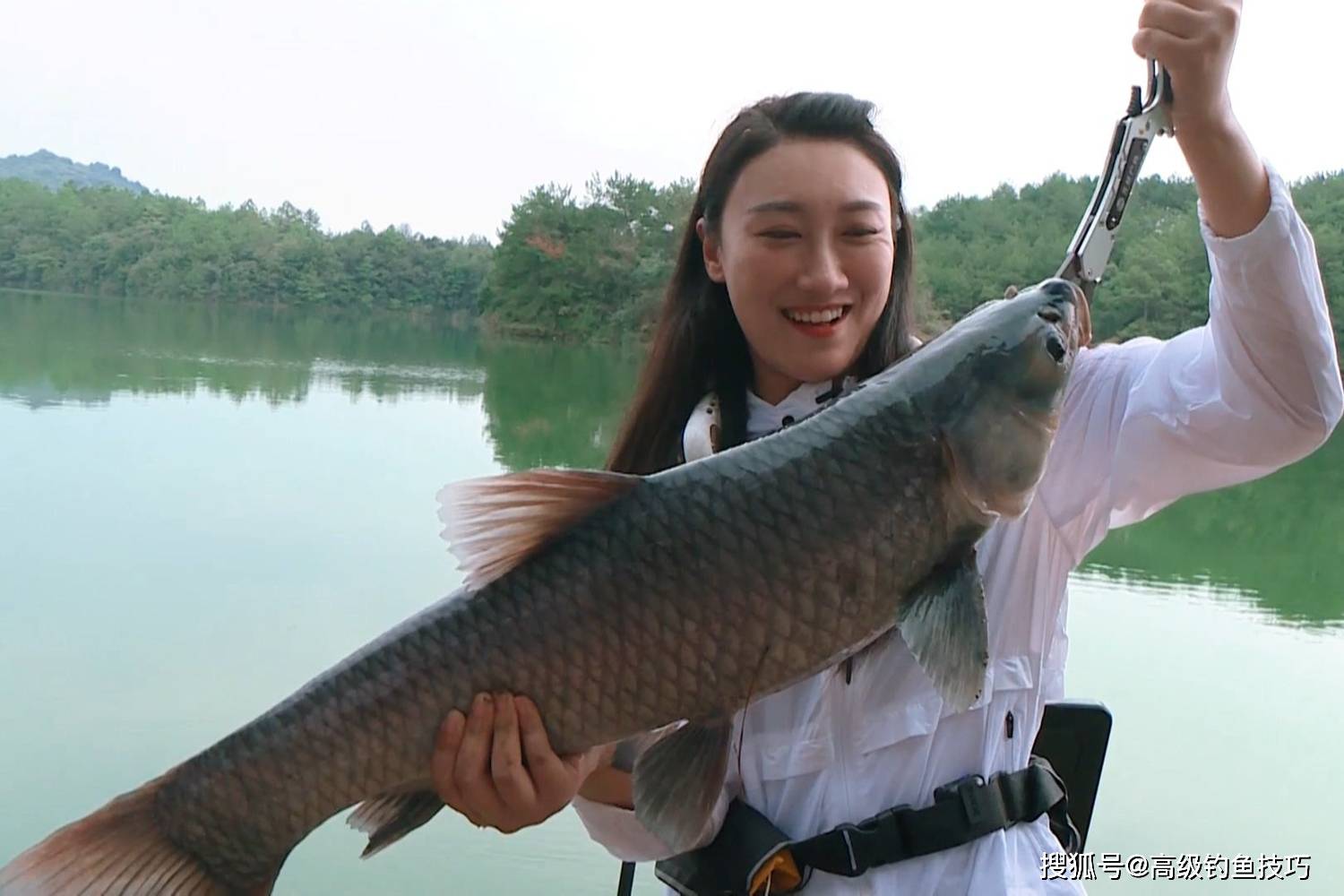 黑坑钓青鱼技巧视频(黑坑钓青鱼技巧视频讲解)