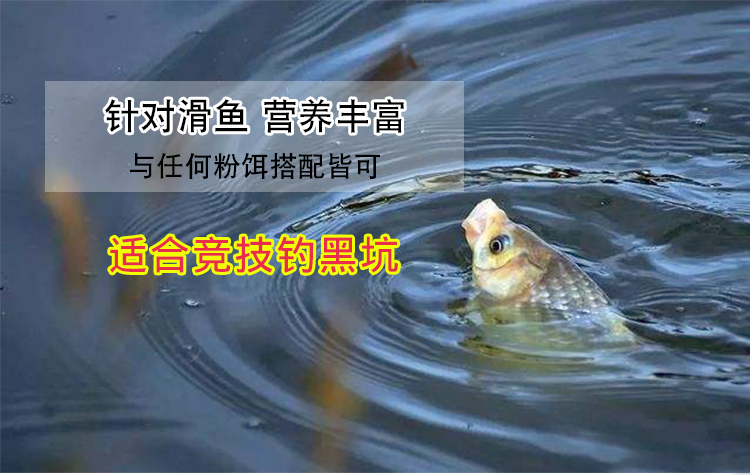 偷驴用饵技巧(偷驴用什么味型饵料好)